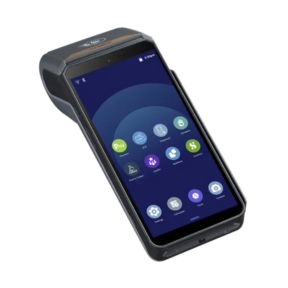 TPE Ingenico DX8000