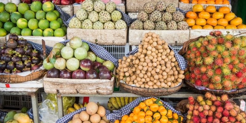 L'Essentiel sur les Balances Primeur pour les Commerçants de Fruits et Légumes
